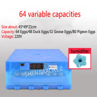 64 Pieces/times Miniature Chick Egg Incubator Automatic 80W Small Automatic Incubator Hatching Egg