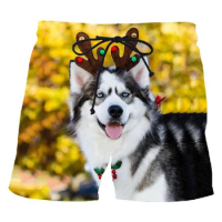 3D Print Siberian Husky Beach Shorts For Men Cute Animal Dog Street Short Pants Casual Summer Oversized Cool Swimming Trunks