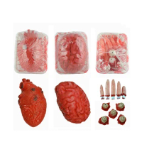 Halloween Decoration Fake Bloody Heart Prop Rubber Organs Squishies Human Size Torso Prop Halloween Bloody Body Parts