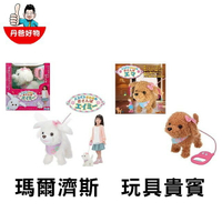 【日本IWAYA】散步小狗 (瑪爾濟斯/玩具貴賓) 玩具 兒童 玩具狗 會動的狗狗 小朋友玩具推薦