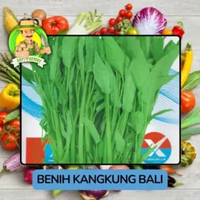 Jenis Benih sayuran kangkung Air, Kangkung Bali, Kangkung Darat Kangkung bali