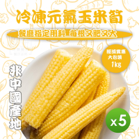 【知名餐廳指定款】冷凍元氣玉米筍(1000g)_5包組