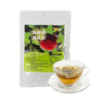 【王媽媽推薦】養生魚腥草薄荷茶12包組(4g*10小包/包)