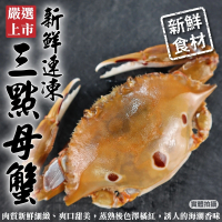 【三頓飯】活凍野生三點母蟹(共6隻_3隻/500g/包)