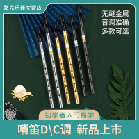 DBAO愛爾蘭哨笛初學者入門金屬哨笛6孔C調D調高音金屬直笛豎笛 森馬先生旗艦店