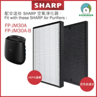 EVERGREEN 適用於Sharp FP-JM30A FP-JM30A-B 空氣清新機 淨化器 備用過濾器套件替換用