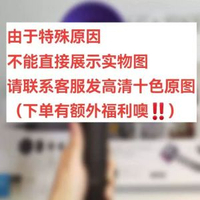 新HD16護發HD15恒溫吹風筒酒店負離子HD18某森高速華強北電吹風機