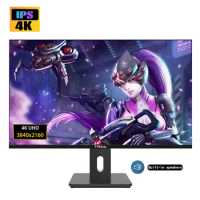 27inch 4K monitor QHD Monitor IPS 100%sRGB Gamut Office Design wall mount 3840*2160 monitor 4k Build-in Speakers