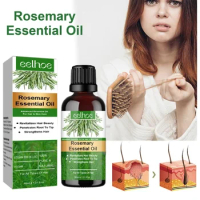 Repairing Rosemary Hair Oil Suitable for Fragile Dry and Breakage Prone Hair Scalp Massage Oil and Hair Growth