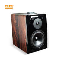High performance customized boombox karaoke speaker woofer surround speaker active speaker dj