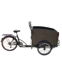 Green Energy Sightseeing Car Rickshaws Three Wheels Electric Adult Beach Bike Tricycles for Bicycle Taxi Services