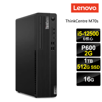 【Lenovo】i5 P620商用繪圖電腦(M70t/i5-12500/16G/512G SSD+1TB HDD/P620-2G/W11P)