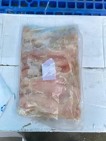 Ikan Kakap Merah frozen kisaran berat 1 kg per ekor/ikan kakap merah/ikan laut