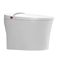 Hot sales Bathroom factory price modern white mintelligent smart electric one piece bidet toilet