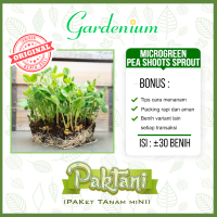 30 Benih Microgreen Pea Shoot Sprout Kacang Polong Dou Miao Benih Unggul Paktani