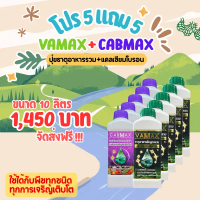ชุด 5 แถม 5 (ปุ๋ยธาตุอาหารเสริมพืช VAMAX + CABMAX แคลเซียมโบรอน) ปุ๋ยทางใบ