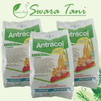 Q&J Fungisida Kontak Antracol 70Wp 500 Gram Original DiskonTx803
