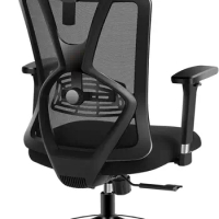Ticova Ergonomic Office Chair - High Back Desk Chair with Adjustable Lumbar Support &amp; 3D Metal Armrest