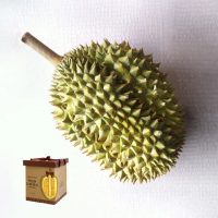【FruitGo馥果】越南A級干堯榴槤(2kg±10%禮盒直送)