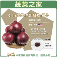 【蔬菜之家】C14-1.美樂洋蔥(紅皮)種子(共有2種包裝可選)(有藥劑)