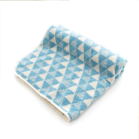 【HARTWELL】日本今治-三角毛巾毯-藍(70*100)