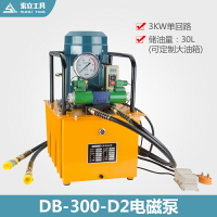 DB300D2 3KW雙回路油壓機雙向大功率液壓電動泵 超高壓腳踏泵