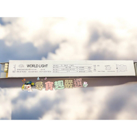 WORLD LIGHT 世界光 預熱啟動型1對2 電子安定器 全電壓 BM-UT50282 適用 T5 燈管R01-2