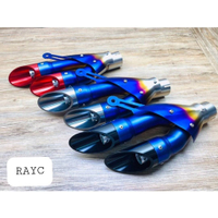 RAYC雙出排氣管MT15 R3 CB150R 忍400 Z300 小阿魯 FORCE DRG 雷霆S SMAX KRV