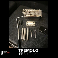 PRS SE 2 Pivot Tremolo John Mayer Nickel New No Box