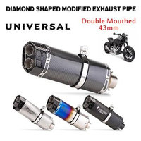 Motorcycle Modified Exhaust Pipe CBR650R 250NK GSX250 DUKE390 Universal Tail Section 430MM Dual Nozzle Exhaust