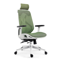 【Hyman PluS+】工學智慧雙腰托雙曲線設計人體工學椅電腦椅-彈力網布款/辦公椅(耐重130KG鋁合金椅腳-)
