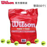 Wilson威爾勝比賽網球初學訓練桶裝球散裝 袋裝練習網球WRT136000