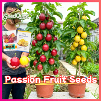 100% Original Fresh Passion Fruit Seeds for Planting Fruits Plants High Yield Purple Passion Fruit S