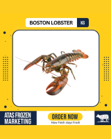 Raw Boston Lobster [500g-600g, 600g-800g & 1kg-1.2kg]