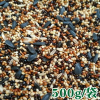 喂鳥器搭配專業營養混合鳥食小油葵五色黍子小米500g喜納浙江制造