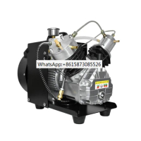 TXEDM041 4500Psi 300Bar PCP Air Compressor Mini-Double Cylinder High Pressure Air Compressor for Scuba Tank Filling