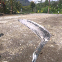 arit/sabit baja selap lapis 3 prodak asli empu gudang gaman jaya