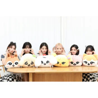 30cm KPOP IVE Pop-up Store Cartoon Animal Plush Doll Nap Pillow MINIVE PARK Stuffed Toy WonYoung YuJin LIZ GAEUL LEESEO Fan Gift