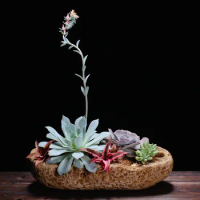 Hand-made Simulation Stone Flower Pot Creative Cement Big Plant Pot Idyllic Succulent Planter Gardening Decor Plant Flower Pot