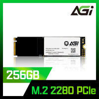 AGI亞奇雷 AI198 256GB M.2 2280 PCIe TLC SSD固態硬碟