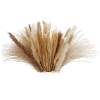 AT35 Pampas Grass Dried Lagurus Dried Reed Grass Bouquet Dried Flower Wheat Dried Arrangements Boho Home Decor