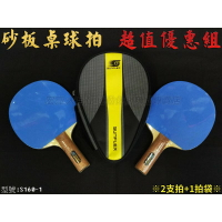 SUNFLEX S160-1 砂板 沙板 桌球拍 乒乓球拍 桌拍【大自在運動休閒精品店】