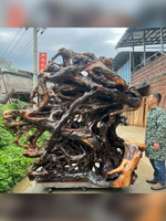 公司貨 免運可開票 支持定制 香樟木整體雕刻隨型天然原木大型屏風花架大廳多功能擺件盆景底座根雕源頭 來圖定制