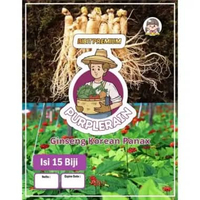 Bibit Premium Ginseng Korean Panax | Benih Gingseng Korea