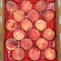 【愛蜜果】美國加州空運水蜜桃10入禮盒x1盒(約2.5公斤/盒_誼馨園 桃仙子)