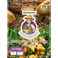 Bibit Premium Coklat Kakao Gayo Lues |Benih Coklat | Bibit Kakao|Bibit Biji Coklat
