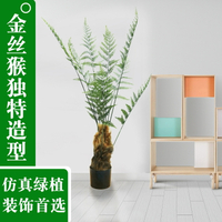 🔥快速出貨🔥 公司貨 仿生綠植樹客廳仿真假樹金絲猴闕猴頭蕨類植物室內盆栽裝飾造景