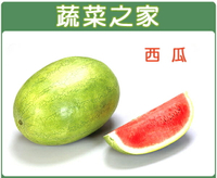【蔬菜之家】I01.西瓜種子(共有2種包裝可選)