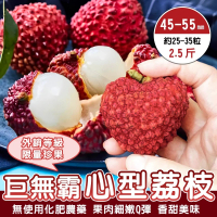 【WANG 蔬果】巨無霸心型荔枝45-55mm 2.5斤x4盒(25-35粒/盒_外銷限量)