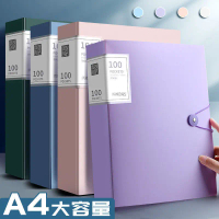 A4 Document Organizer File Transparent Insert Pockets Office Test Papers Pregnancy Checkup Records S